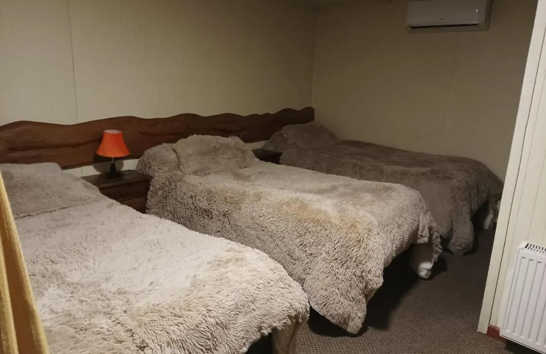 Hostal Los Cisnes-1